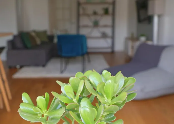 Le Cocon Des Olivettes - 5 People - Chu - Parking