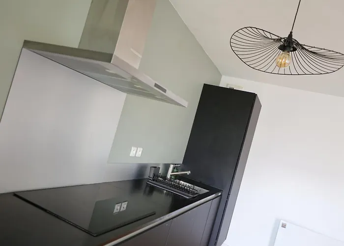 Le Cocon Des Olivettes - 5 People - Chu - Parking Apartamento